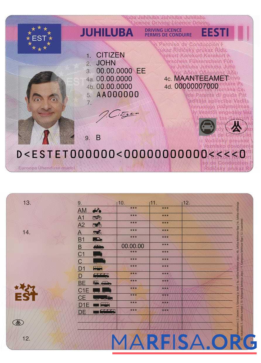 Realistic Estonia driving license real example